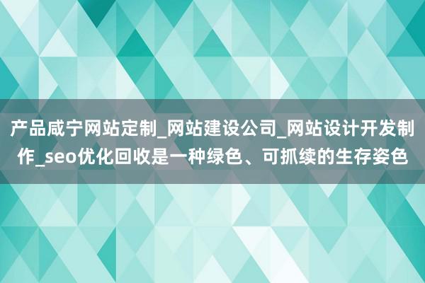 产品咸宁网站定制_网站建设公司_网站设计开发制作_seo优化回收是一种绿色、可抓续的生存姿色