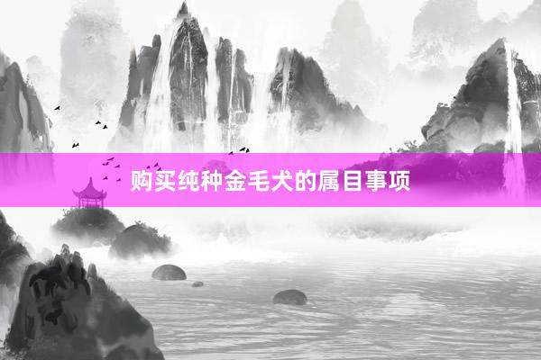 购买纯种金毛犬的属目事项