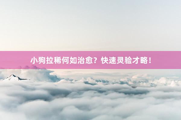 小狗拉稀何如治愈？快速灵验才略！