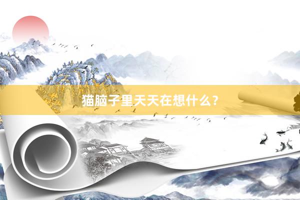猫脑子里天天在想什么？