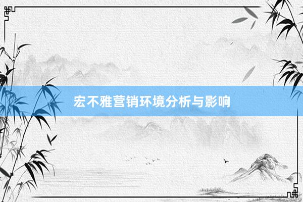 宏不雅营销环境分析与影响